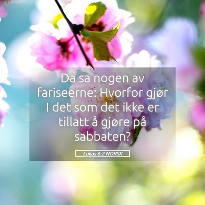 Picture 05 - Lukas 6:2 NORSK - Da sa nogen av fariseerne: Hvorfor gjør I det - Bible Verse Picture