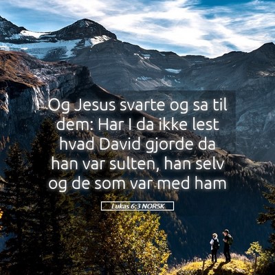 Picture 05 - Lukas 6:3 NORSK - Og Jesus svarte og sa til dem: Har I da ikke lest - Bible Verse Picture