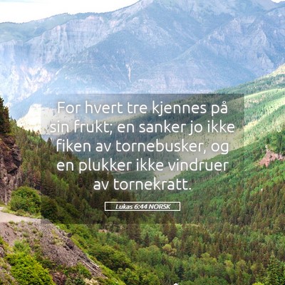 Picture 05 - Lukas 6:44 NORSK - For hvert tre kjennes på sin frukt; en sanker jo - Bible Verse Picture