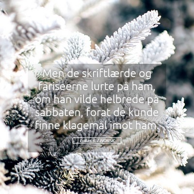Picture 05 - Lukas 6:7 NORSK - Men de skriftlærde og fariseerne lurte på ham, - Bible Verse Picture