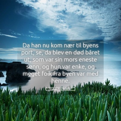 Picture 05 - Lukas 7:12 NORSK - Da han nu kom nær til byens port, se, da blev en - Bible Verse Picture