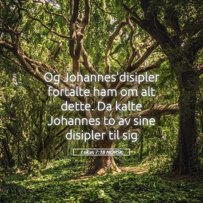 Picture 05 - Lukas 7:18 NORSK - Og Johannes'disipler fortalte ham om alt dette. - Bible Verse Picture