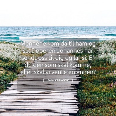 Picture 05 - Lukas 7:20 NORSK - Mennene kom da til ham og sa: Døperen Johannes - Bible Verse Picture