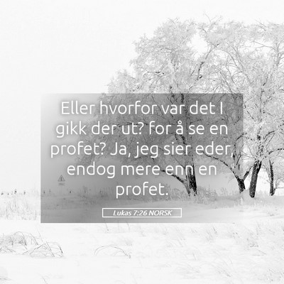 Picture 05 - Lukas 7:26 NORSK - Eller hvorfor var det I gikk der ut? for å se en - Bible Verse Picture
