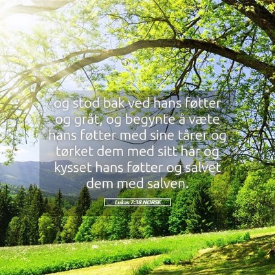 Picture 05 - Lukas 7:38 NORSK - og stod bak ved hans føtter og gråt, og begynte - Bible Verse Picture