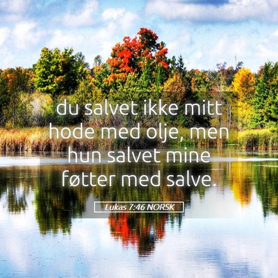 Picture 05 - Lukas 7:46 NORSK - du salvet ikke mitt hode med olje, men hun salvet - Bible Verse Picture