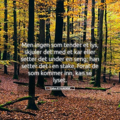 Picture 05 - Lukas 8:16 NORSK - Men ingen som tender et lys, skjuler det med et - Bible Verse Picture