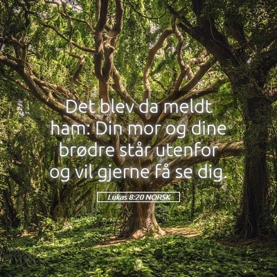Picture 05 - Lukas 8:20 NORSK - Det blev da meldt ham: Din mor og dine brødre - Bible Verse Picture