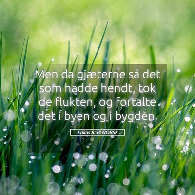Picture 05 - Lukas 8:34 NORSK - Men da gjæterne så det som hadde hendt, tok de - Bible Verse Picture