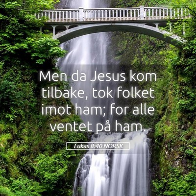 Picture 05 - Lukas 8:40 NORSK - Men da Jesus kom tilbake, tok folket imot ham; - Bible Verse Picture