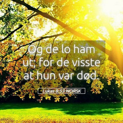 Picture 05 - Lukas 8:53 NORSK - Og de lo ham ut; for de visste at hun var - Bible Verse Picture