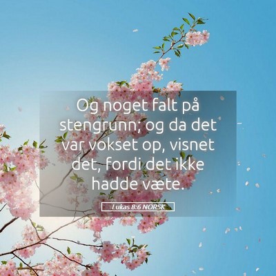 Picture 05 - Lukas 8:6 NORSK - Og noget falt på stengrunn; og da det var vokset - Bible Verse Picture