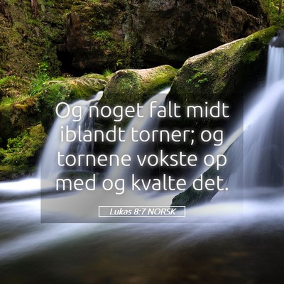 Picture 05 - Lukas 8:7 NORSK - Og noget falt midt iblandt torner; og tornene - Bible Verse Picture