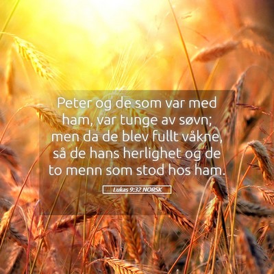 Picture 05 - Lukas 9:32 NORSK - Peter og de som var med ham, var tunge av søvn; - Bible Verse Picture