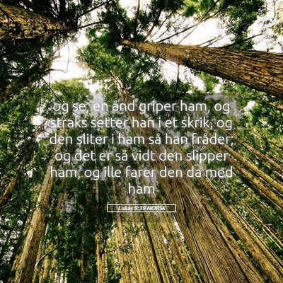 Picture 05 - Lukas 9:39 NORSK - og se, en ånd griper ham, og straks setter han i - Bible Verse Picture