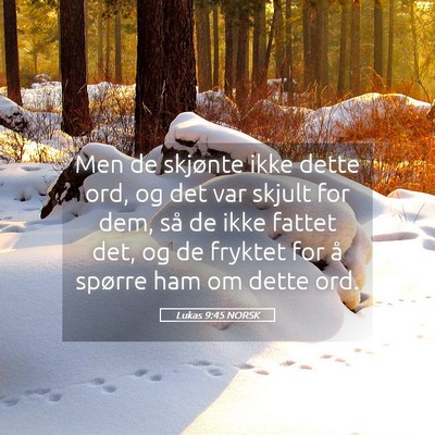 Picture 05 - Lukas 9:45 NORSK - Men de skjønte ikke dette ord, og det var skjult - Bible Verse Picture