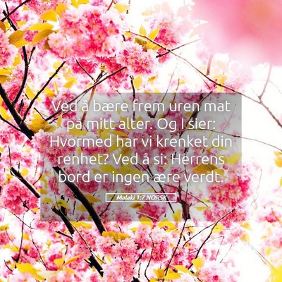 Picture 05 - Malaki 1:7 NORSK - Ved å bære frem uren mat på mitt alter. Og I - Bible Verse Picture