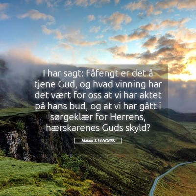 Picture 05 - Malaki 3:14 NORSK - I har sagt: Fåfengt er det å tjene Gud, og hvad - Bible Verse Picture