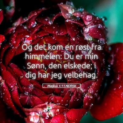 Picture 05 - Markus 1:11 NORSK - Og det kom en røst fra himmelen: Du er min - Bible Verse Picture