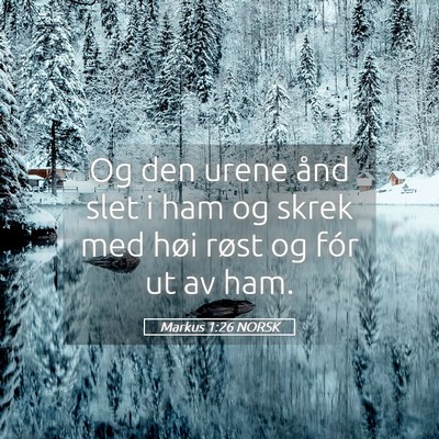 Picture 05 - Markus 1:26 NORSK - Og den urene ånd slet i ham og skrek med høi - Bible Verse Picture
