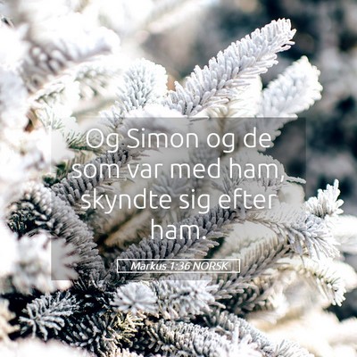 Picture 05 - Markus 1:36 NORSK - Og Simon og de som var med ham, skyndte sig efter - Bible Verse Picture