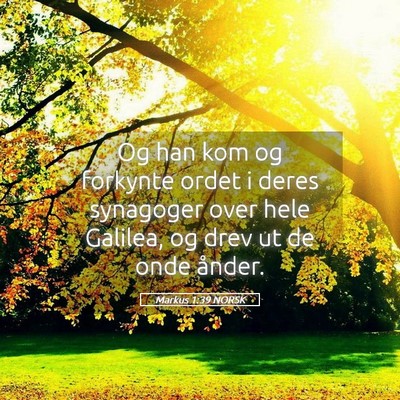 Picture 05 - Markus 1:39 NORSK - Og han kom og forkynte ordet i deres synagoger - Bible Verse Picture