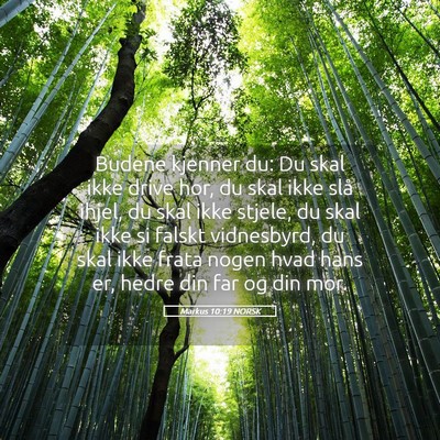 Picture 05 - Markus 10:19 NORSK - Budene kjenner du: Du skal ikke drive hor, du - Bible Verse Picture