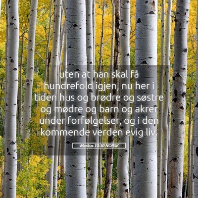 Picture 05 - Markus 10:30 NORSK - uten at han skal få hundrefold igjen, nu her i - Bible Verse Picture