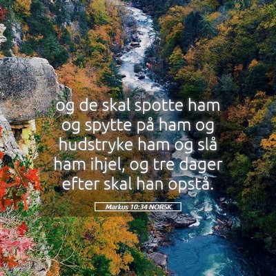 Picture 05 - Markus 10:34 NORSK - og de skal spotte ham og spytte på ham og - Bible Verse Picture
