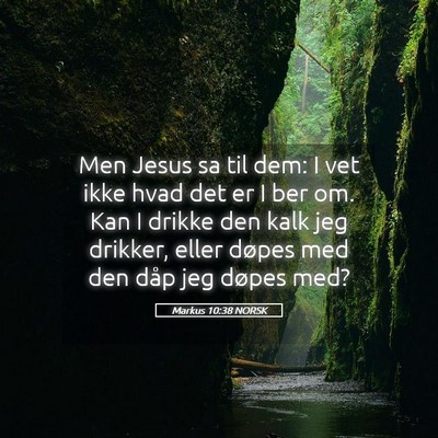 Picture 05 - Markus 10:38 NORSK - Men Jesus sa til dem: I vet ikke hvad det er I - Bible Verse Picture