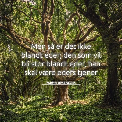 Picture 05 - Markus 10:43 NORSK - Men så er det ikke blandt eder; den som vil bli - Bible Verse Picture