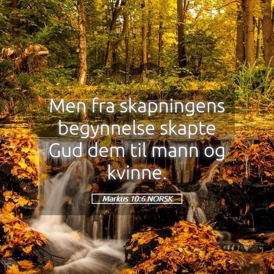 Picture 05 - Markus 10:6 NORSK - Men fra skapningens begynnelse skapte Gud dem til - Bible Verse Picture