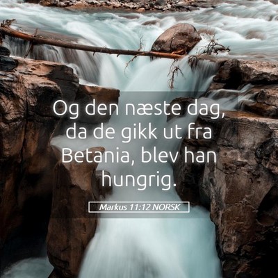 Picture 05 - Markus 11:12 NORSK - Og den næste dag, da de gikk ut fra Betania, - Bible Verse Picture