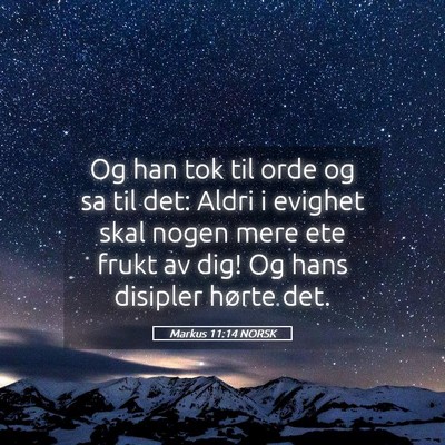 Picture 05 - Markus 11:14 NORSK - Og han tok til orde og sa til det: Aldri i - Bible Verse Picture