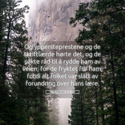 Picture 05 - Markus 11:18 NORSK - Og yppersteprestene og de skriftlærde hørte - Bible Verse Picture