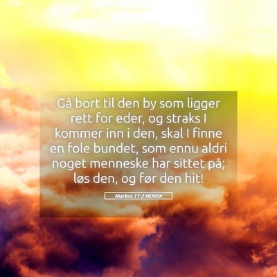 Picture 05 - Markus 11:2 NORSK - Gå bort til den by som ligger rett for eder, og - Bible Verse Picture