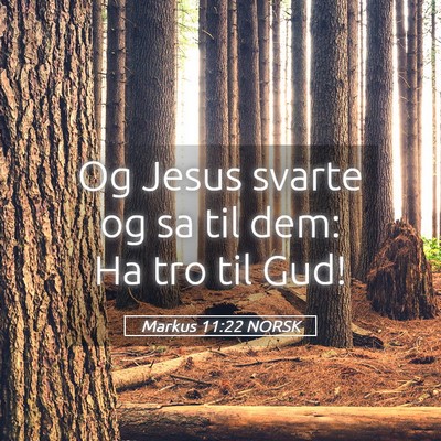 Picture 05 - Markus 11:22 NORSK - Og Jesus svarte og sa til dem: Ha tro til - Bible Verse Picture
