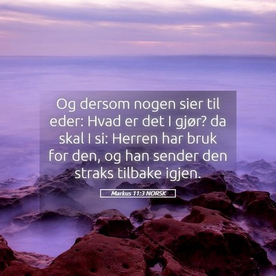 Picture 05 - Markus 11:3 NORSK - Og dersom nogen sier til eder: Hvad er det I - Bible Verse Picture