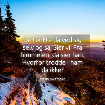 Picture 05 - Markus 11:31 NORSK - De tenkte da ved sig selv og sa: Sier vi: Fra - Bible Verse Picture