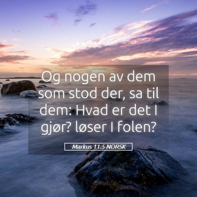 Picture 05 - Markus 11:5 NORSK - Og nogen av dem som stod der, sa til dem: Hvad er - Bible Verse Picture