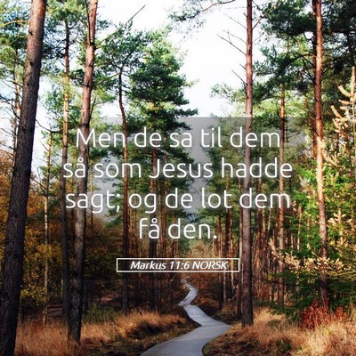Picture 05 - Markus 11:6 NORSK - Men de sa til dem så som Jesus hadde sagt; og de - Bible Verse Picture