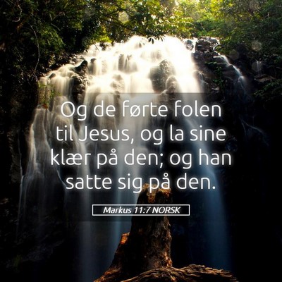 Picture 05 - Markus 11:7 NORSK - Og de førte folen til Jesus, og la sine klær - Bible Verse Picture