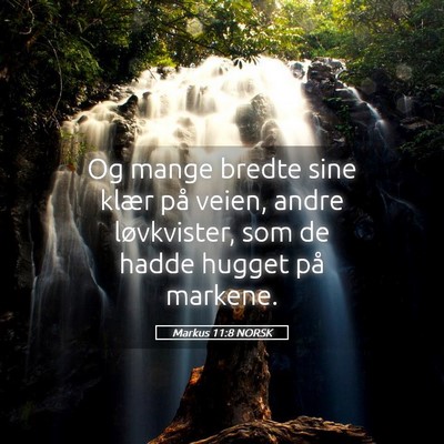 Picture 05 - Markus 11:8 NORSK - Og mange bredte sine klær på veien, andre - Bible Verse Picture