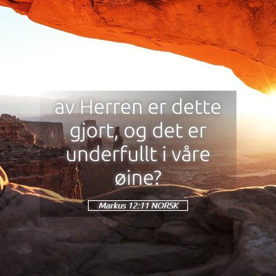Picture 05 - Markus 12:11 NORSK - av Herren er dette gjort, og det er underfullt i - Bible Verse Picture