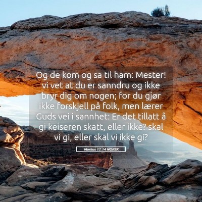 Picture 05 - Markus 12:14 NORSK - Og de kom og sa til ham: Mester! vi vet at du er - Bible Verse Picture