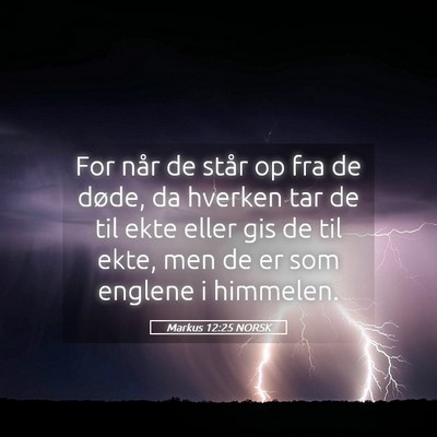 Picture 05 - Markus 12:25 NORSK - For når de står op fra de døde, da hverken tar - Bible Verse Picture