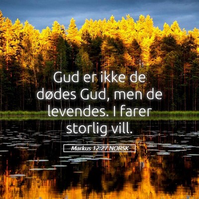 Picture 05 - Markus 12:27 NORSK - Gud er ikke de dødes Gud, men de levendes. I - Bible Verse Picture
