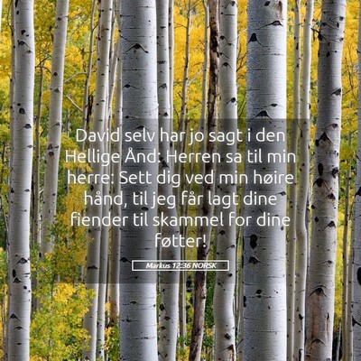 Picture 05 - Markus 12:36 NORSK - David selv har jo sagt i den Hellige Ånd: Herren - Bible Verse Picture