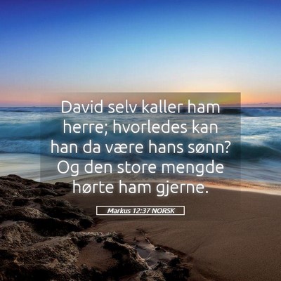 Picture 05 - Markus 12:37 NORSK - David selv kaller ham herre; hvorledes kan han da - Bible Verse Picture