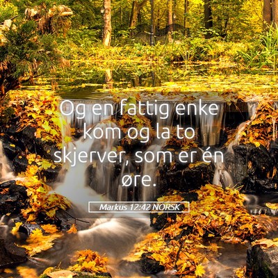 Picture 05 - Markus 12:42 NORSK - Og en fattig enke kom og la to skjerver, som er - Bible Verse Picture